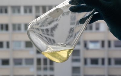 first-gmo-featured-image Course 2: Your First GMO